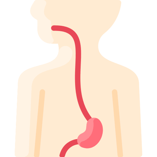 trans-esophageal-echo-cardiography